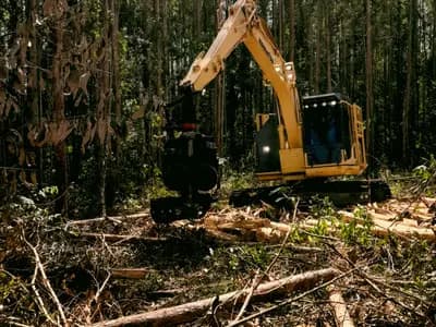 Land Clearing in Indianapolis